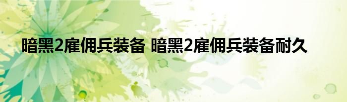 暗黑2雇佣兵装备 暗黑2雇佣兵装备耐久