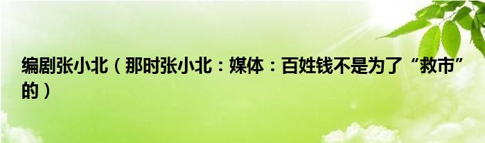 编剧张小北（那时张小北：媒体：百姓钱不是为了“救市”的）