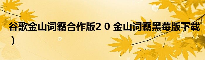 谷歌金山词霸合作版2 0 金山词霸黑莓版下载）