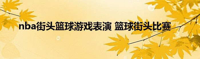 nba街头篮球游戏表演 篮球街头比赛