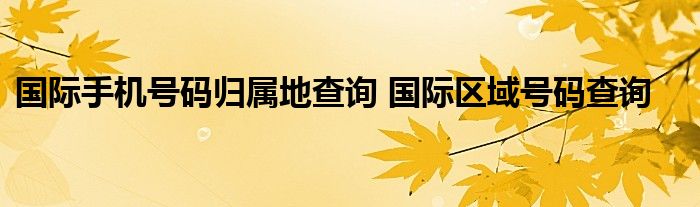 国际手机号码归属地查询 国际区域号码查询