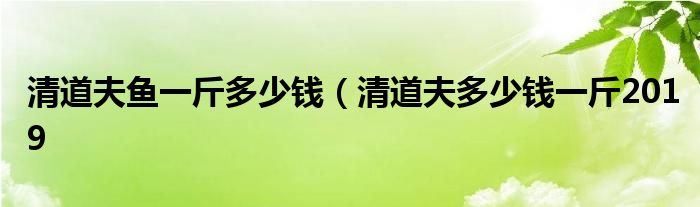 清道夫鱼一斤多少钱（清道夫多少钱一斤2019