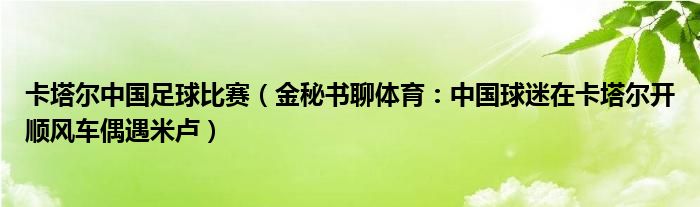 卡塔尔中国足球比赛（金秘书聊体育：中国球迷在卡塔尔开顺风车偶遇米卢）