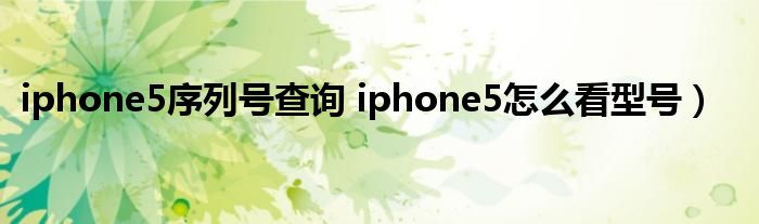 iphone5序列号查询 iphone5怎么看型号）