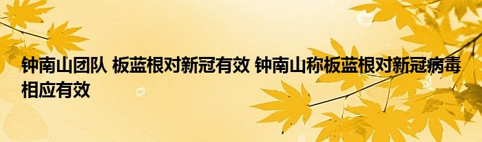 钟南山团队 板蓝根对新冠有效 钟南山称板蓝根对新冠病毒相应有效