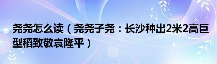 尧尧怎么读（尧尧子尧：长沙种出2米2高巨型稻致敬袁隆平）