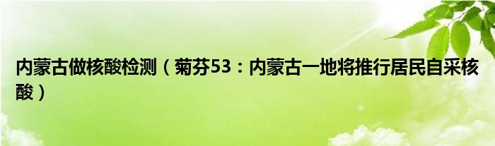 内蒙古做核酸检测（菊芬53：内蒙古一地将推行居民自采核酸）