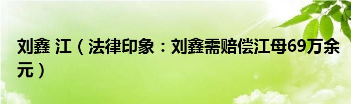 刘鑫 江（法律印象：刘鑫需赔偿江母69万余元）