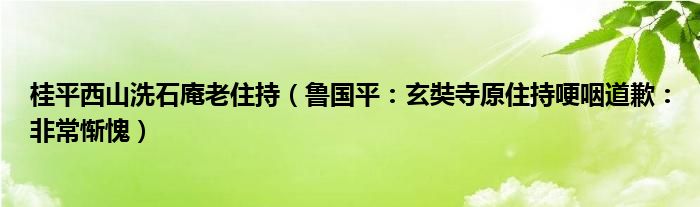 桂平西山洗石庵老住持（鲁国平：玄奘寺原住持哽咽道歉：非常惭愧）