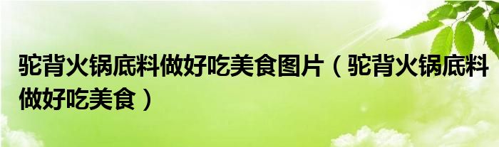 驼背火锅底料做好吃美食图片（驼背火锅底料做好吃美食）