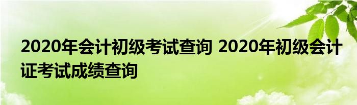 2020年会计初级考试查询 2020年初级会计证考试成绩查询