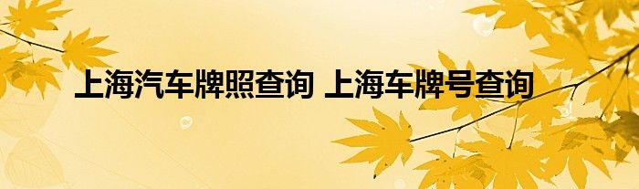 上海汽车牌照查询 上海车牌号查询