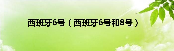 西班牙6号（西班牙6号和8号）