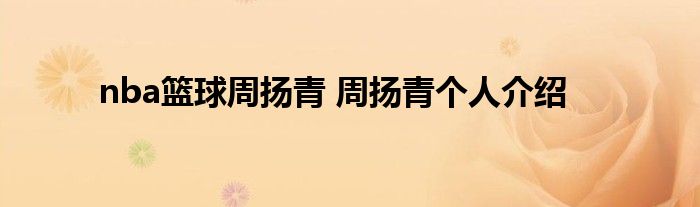 nba篮球周扬青 周扬青个人介绍