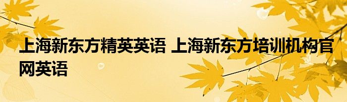 上海新东方精英英语 上海新东方培训机构官网英语