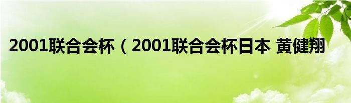 2001联合会杯（2001联合会杯日本 黄健翔