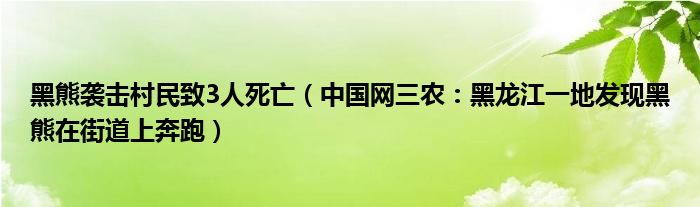 黑熊袭击村民致3人死亡（中国网三农：黑龙江一地发现黑熊在街道上奔跑）