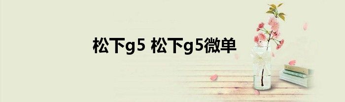 松下g5 松下g5微单