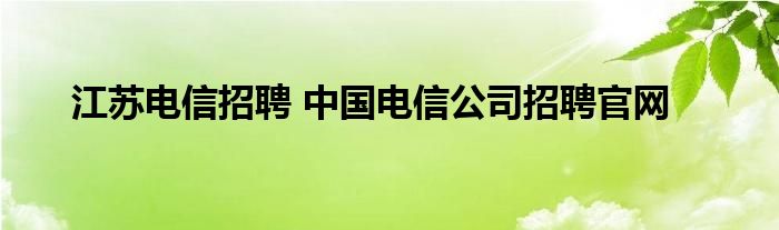 江苏电信招聘 中国电信公司招聘官网