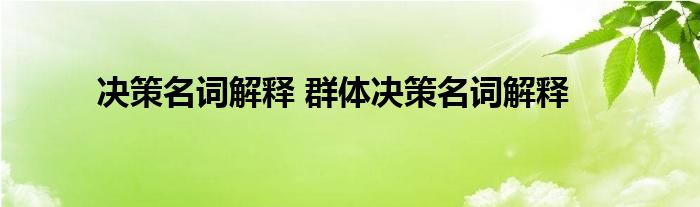 决策名词解释 群体决策名词解释