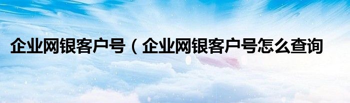 企业网银客户号（企业网银客户号怎么查询