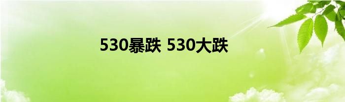 530暴跌 530大跌