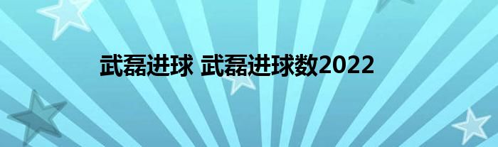 武磊进球 武磊进球数2022