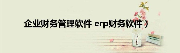 企业财务管理软件 erp财务软件）