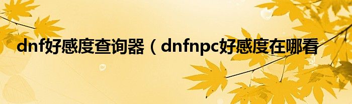 dnf好感度查询器（dnfnpc好感度在哪看