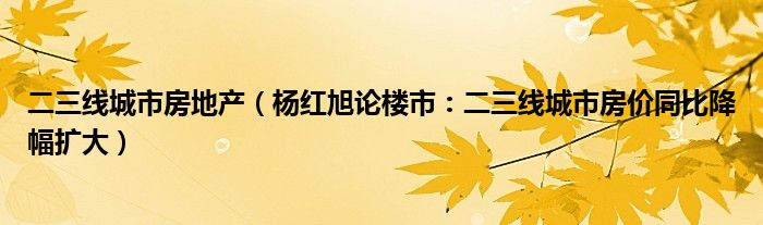 二三线城市房地产（杨红旭论楼市：二三线城市房价同比降幅扩大）