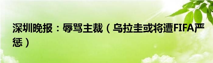 深圳晚报：辱骂主裁（乌拉圭或将遭FIFA严惩）