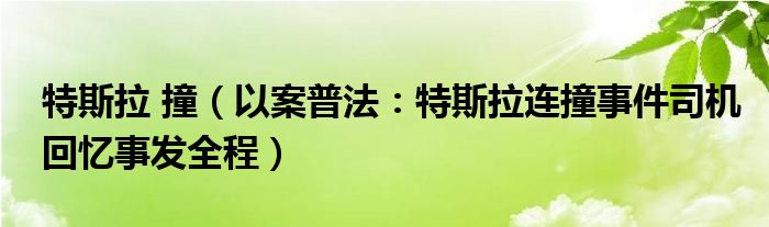 特斯拉 撞（以案普法：特斯拉连撞事件司机回忆事发全程）