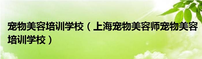 宠物美容培训学校（上海宠物美容师宠物美容培训学校）