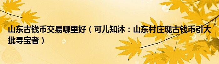 山东古钱币交易哪里好（可儿知沐：山东村庄现古钱币引大批寻宝者）