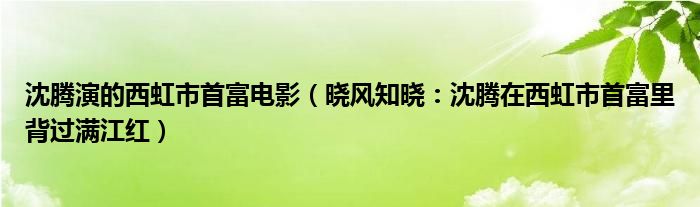 沈腾演的西虹市首富电影（晓风知晓：沈腾在西虹市首富里背过满江红）