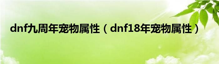 dnf九周年宠物属性（dnf18年宠物属性）