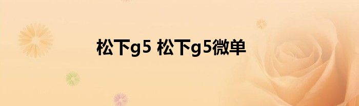 松下g5 松下g5微单