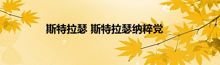 斯特拉瑟 斯特拉瑟纳粹党