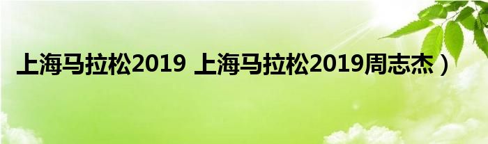 上海马拉松2019 上海马拉松2019周志杰）