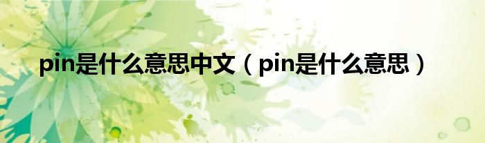 pin是什么意思中文（pin是什么意思）