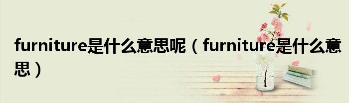 furniture是什么意思呢（furniture是什么意思）