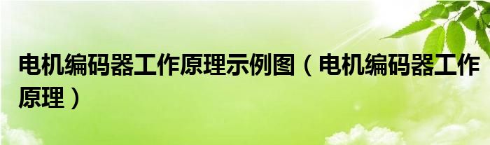 电机编码器工作原理示例图（电机编码器工作原理）