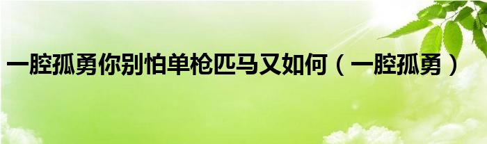 一腔孤勇你别怕单枪匹马又如何（一腔孤勇）