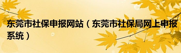 东莞市社保申报网站（东莞市社保局网上申报系统）