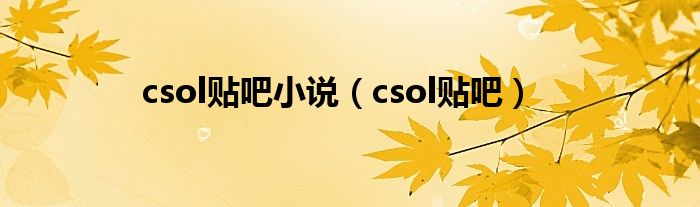 csol贴吧小说（csol贴吧）