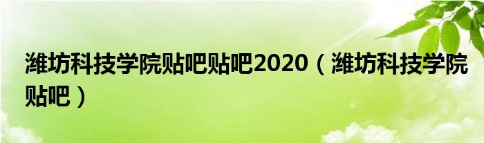 潍坊科技学院贴吧贴吧2020（潍坊科技学院贴吧）