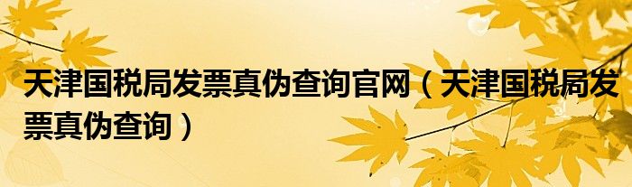 天津国税局发票真伪查询官网（天津国税局发票真伪查询）