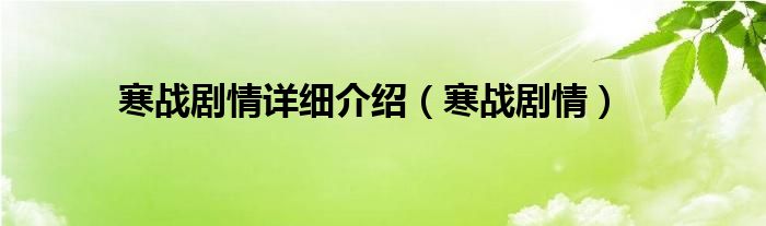 寒战剧情详细介绍（寒战剧情）