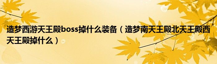 造梦西游天王殿boss掉什么装备（造梦南天王殿北天王殿西天王殿掉什么）