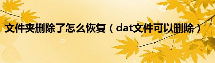 文件夹删除了怎么恢复（dat文件可以删除）